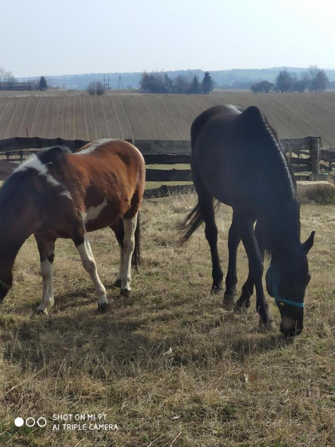Balkanowka Krasniczyn Buitenkant foto