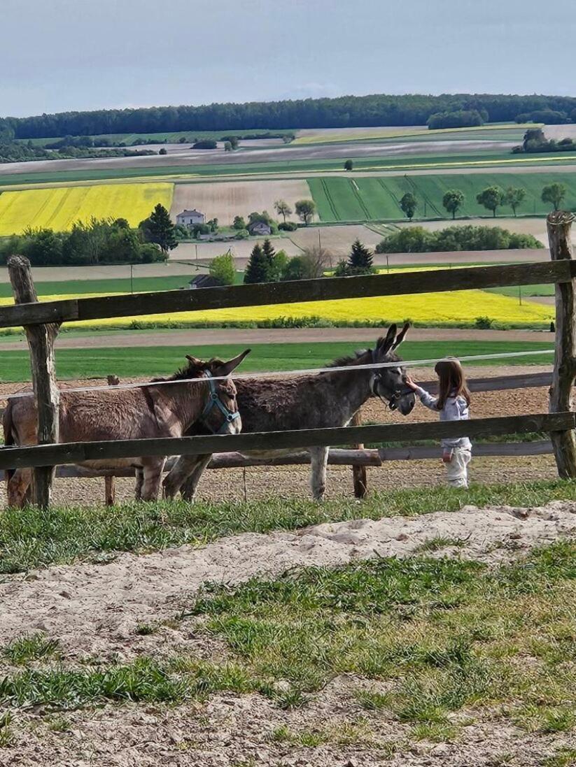 Balkanowka Krasniczyn Buitenkant foto