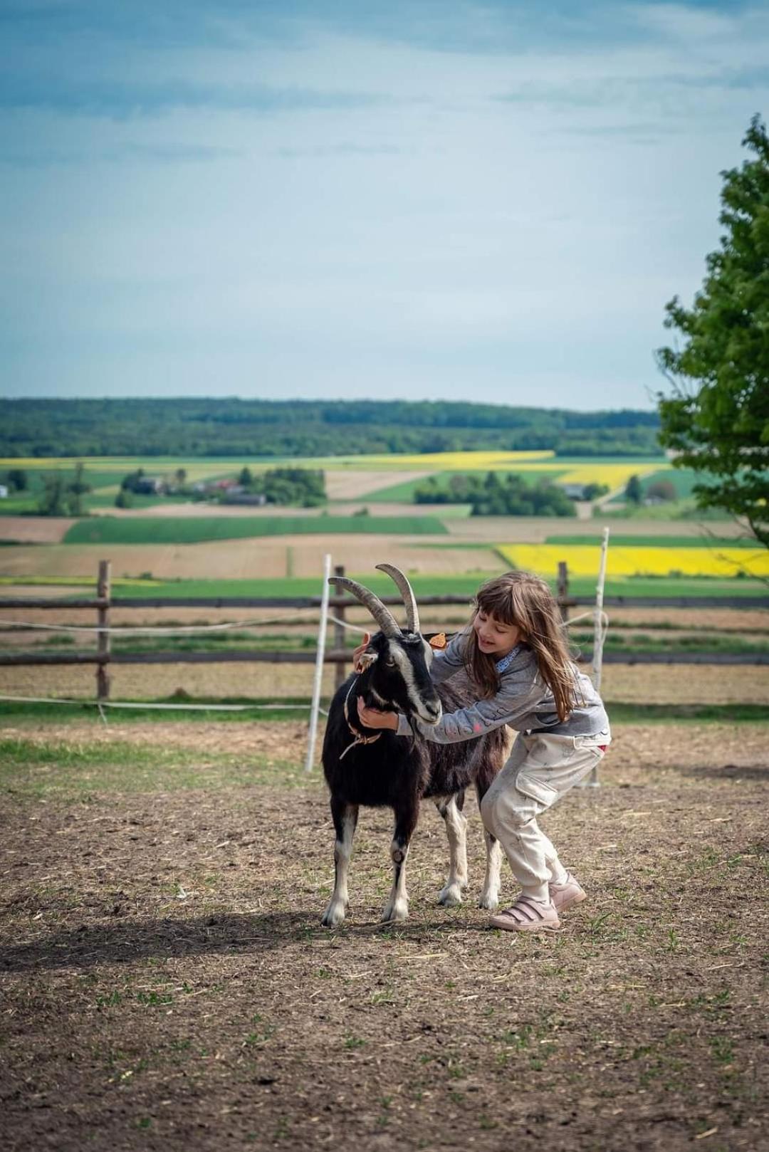 Balkanowka Krasniczyn Buitenkant foto